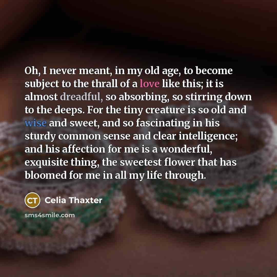 “Oh, I never meant, in my old age, to become subject to the thrall of a love like this; it is almost dreadful, so absorbing, so stirring down to the deeps. For the tiny creature is so old and wise and sweet, and so fascinating in his sturdy common sense and clear intelligence; and his affection for…” quote by Celia Thaxter