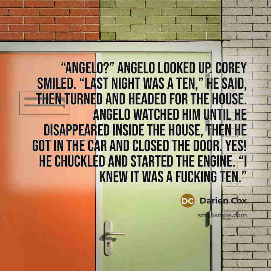 “Angelo?” Angelo looked up. Corey smiled. “Last night was a ten,” he said, then turned and headed for the house. Angelo watched him until he disappeared inside the house, then he got in the car and closed the door. Yes! He chuckled and started the engine. “I knew it was a fucking ten.” quote by Darien Cox