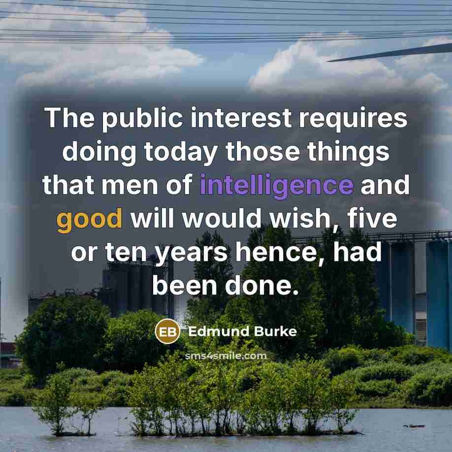 “The public interest requires doing today those things that men of intelligence and good will would wish, five or ten years hence, had been done.” quote by Edmund Burke
