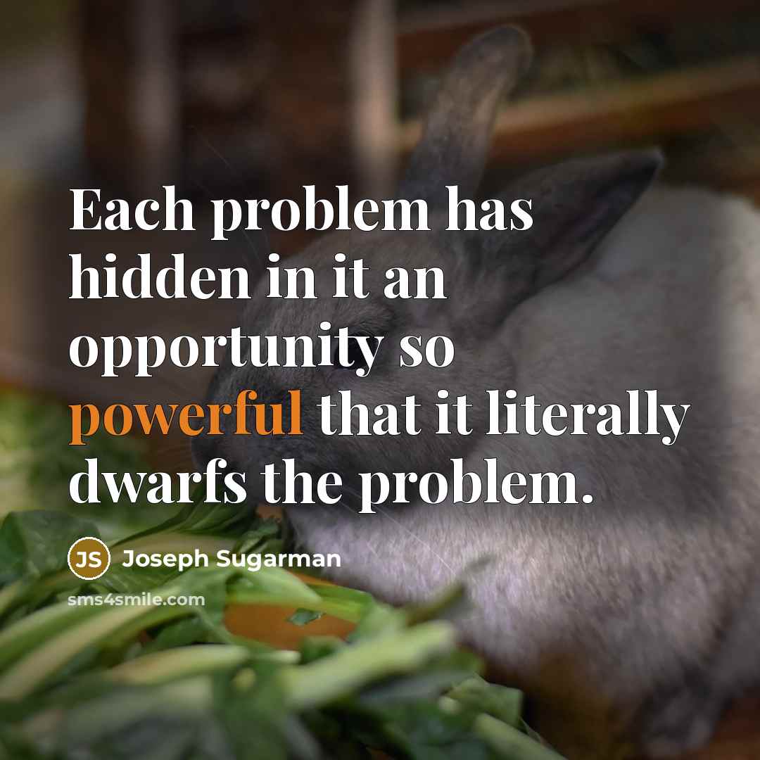 “Each problem has hidden in it an opportunity so powerful that it literally dwarfs the problem.” quote by Joseph Sugarman
