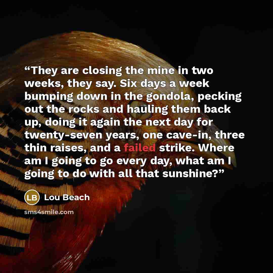 “They are closing the mine in two weeks, they say. Six days a week bumping down in the gondola, pecking out the rocks and hauling them back up, doing it again the next day for twenty-seven years, one cave-in, three thin raises, and a failed strike. Where am I going to go every day, what am I going…” quote by Lou Beach