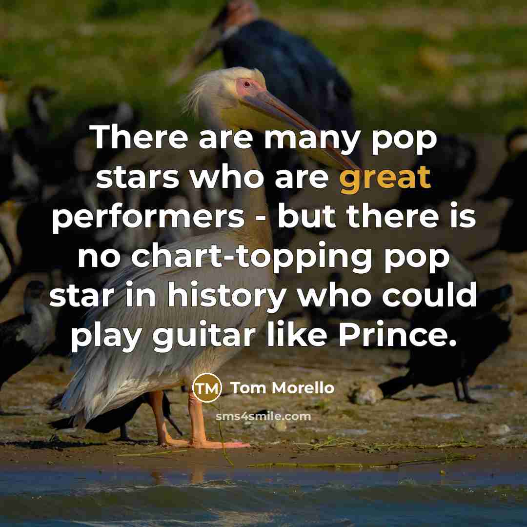 “There are many pop stars who are great performers - but there is no chart-topping pop star in history who could play guitar like Prince.” quote by Tom Morello