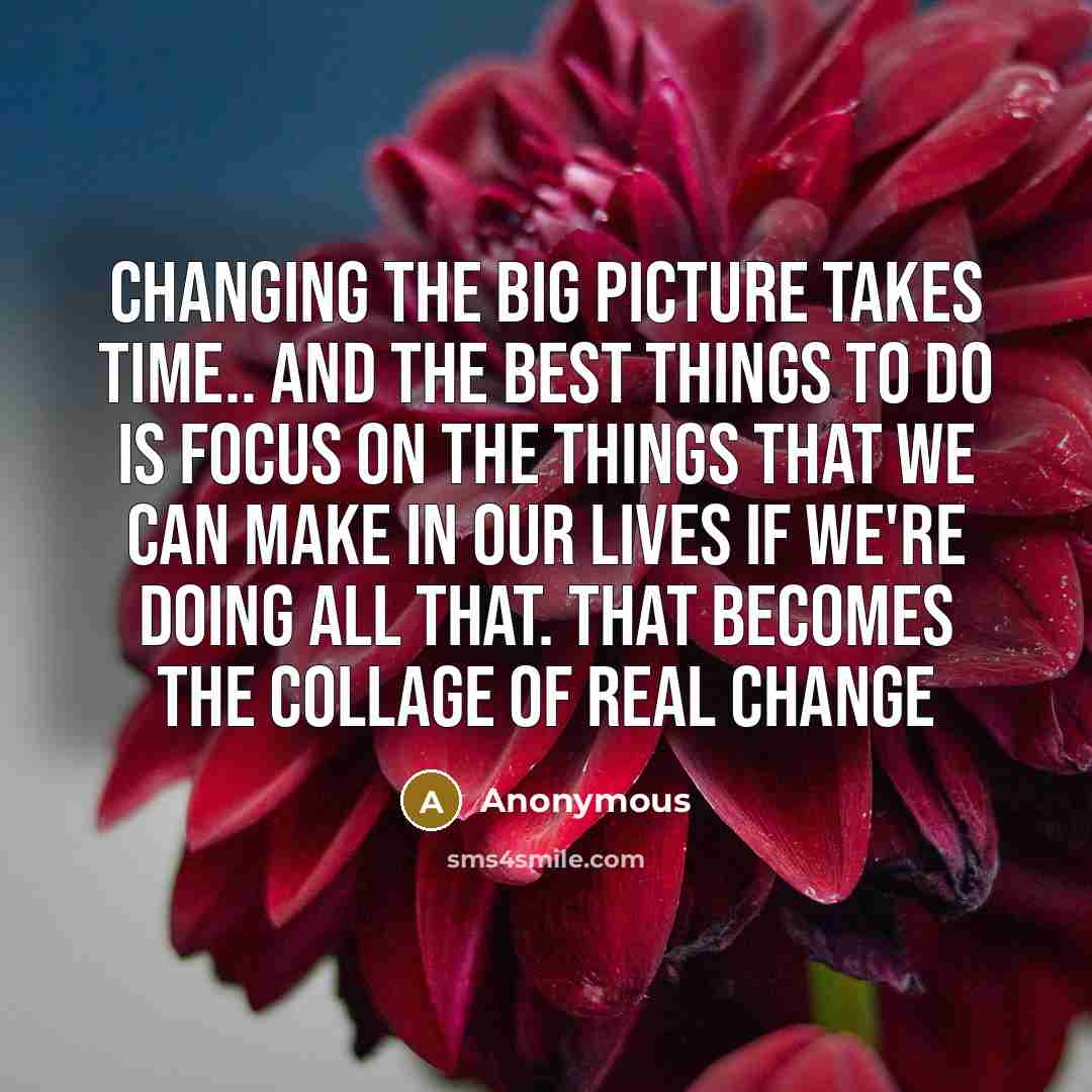 “Changing the big picture takes time.. and the best things to do is focus on the things that we can make in our lives if we're doing all that. That becomes the collage of real change” quote by Anonymous
