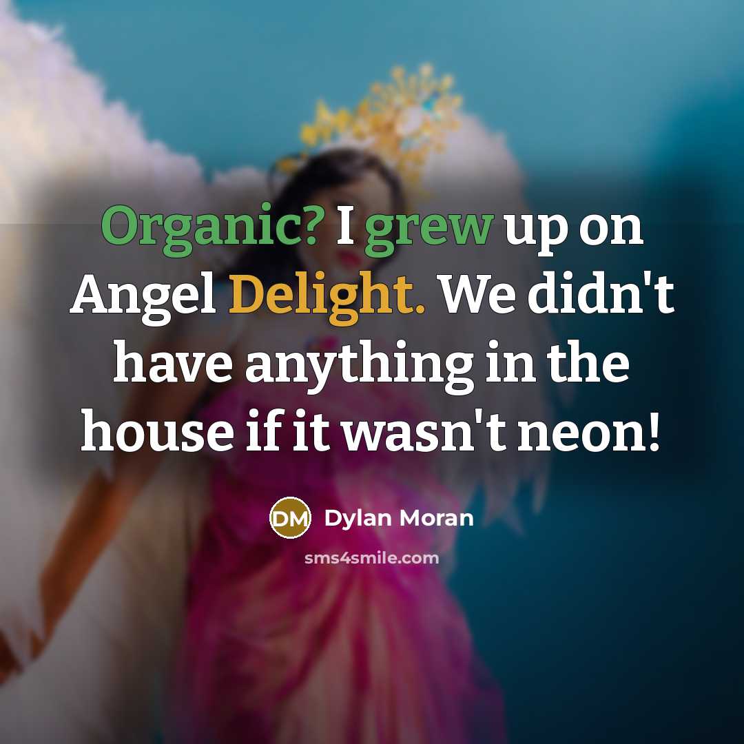 “Organic? I grew up on Angel Delight. We didn't have anything in the house if it wasn't neon!” quote by Dylan Moran
