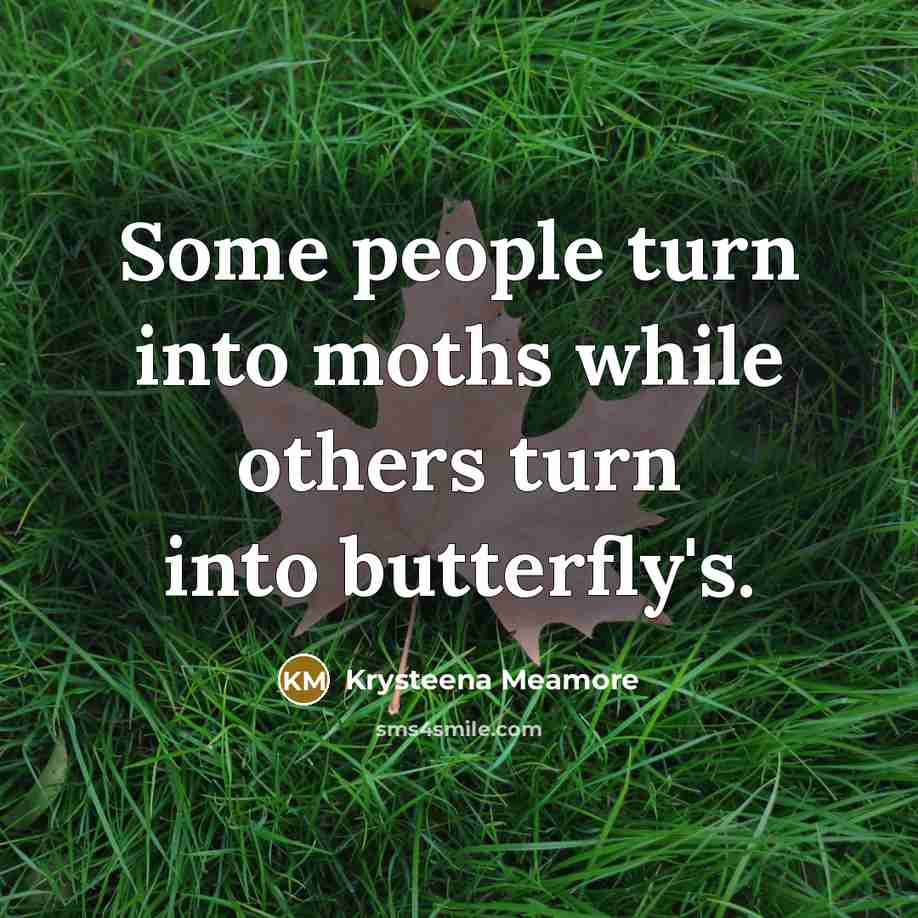 “Some people turn into moths while others turn into butterfly's.” quote by Krysteena Meamore