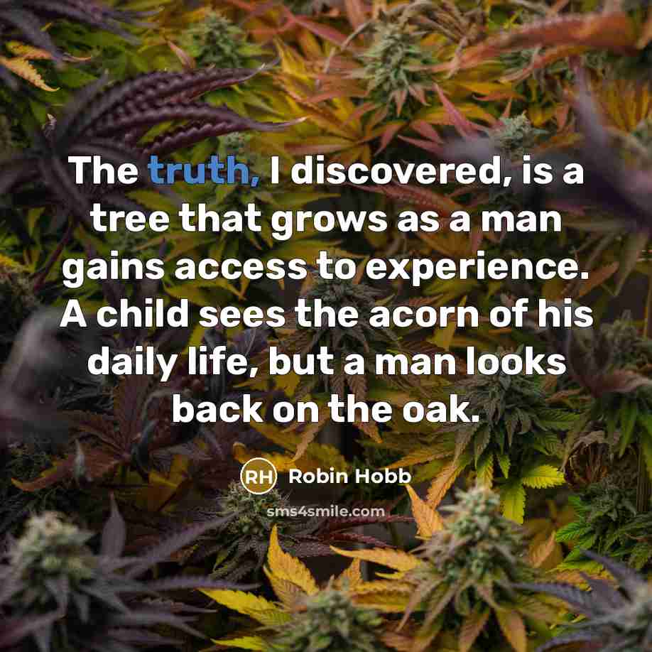 “The truth, I discovered, is a tree that grows as a man gains access to experience. A child sees the acorn of his daily life, but a man looks back on the oak.” quote by Robin Hobb