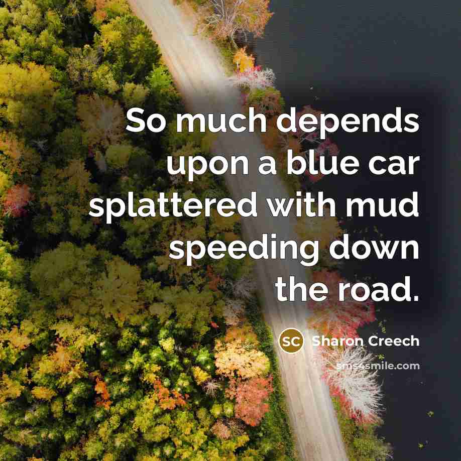 “So much depends upon a blue car splattered with mud speeding down the road.” quote by Sharon Creech