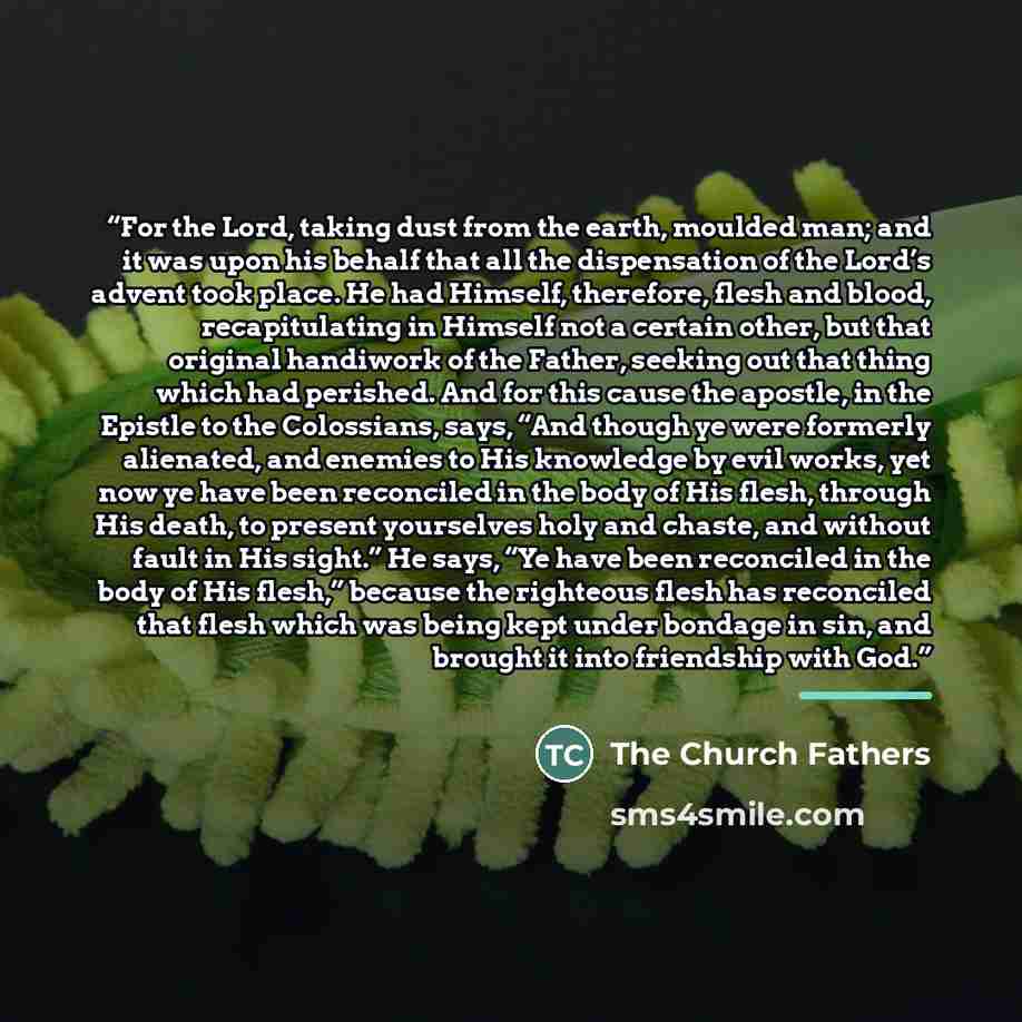 “For the Lord, taking dust from the earth, moulded man; and it was upon his behalf that all the dispensation of the Lord’s advent took place. He had Himself, therefore, flesh and blood, recapitulating in Himself not a certain other, but that original handiwork of the Father, seeking out that thing…” quote by The Church Fathers