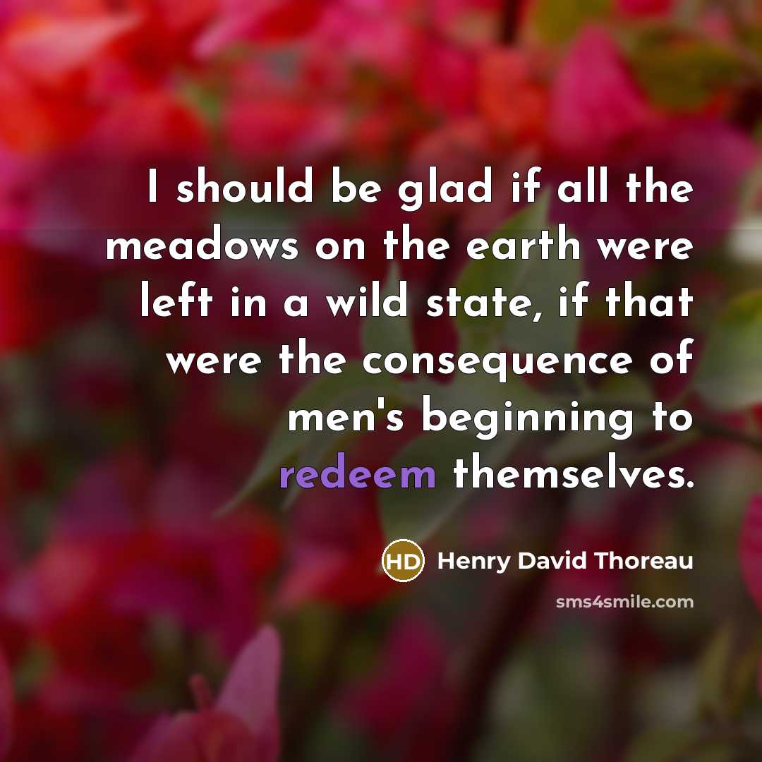 “I should be glad if all the meadows on the earth were left in a wild state, if that were the consequence of men's beginning to redeem themselves.” quote by Henry David Thoreau