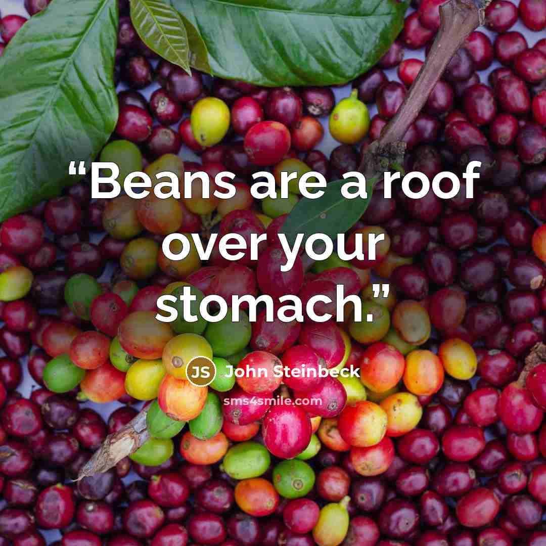 “Beans are a roof over your stomach.” quote by John Steinbeck