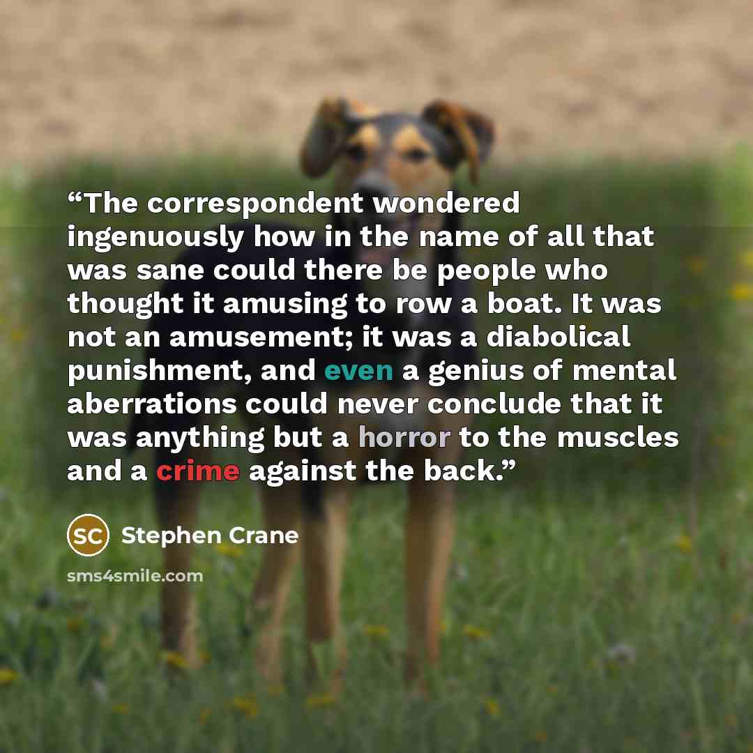 “The correspondent wondered ingenuously how in the name of all that was sane could there be people who thought it amusing to row a boat. It was not an amusement; it was a diabolical punishment, and even a genius of mental aberrations could never conclude that it was anything but a horror to the…” quote by Stephen Crane