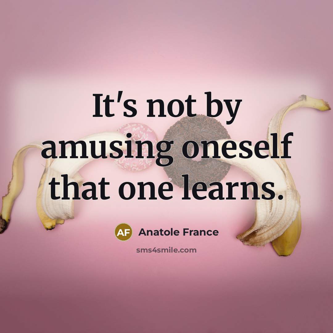 “It's not by amusing oneself that one learns.” quote by Anatole France