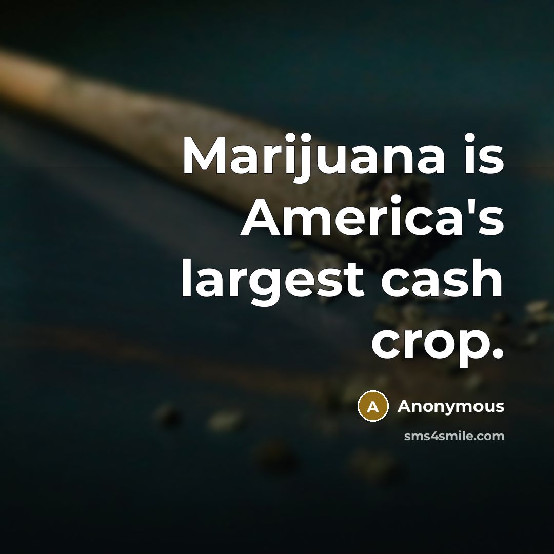 “Marijuana is America's largest cash crop.” quote by Anonymous
