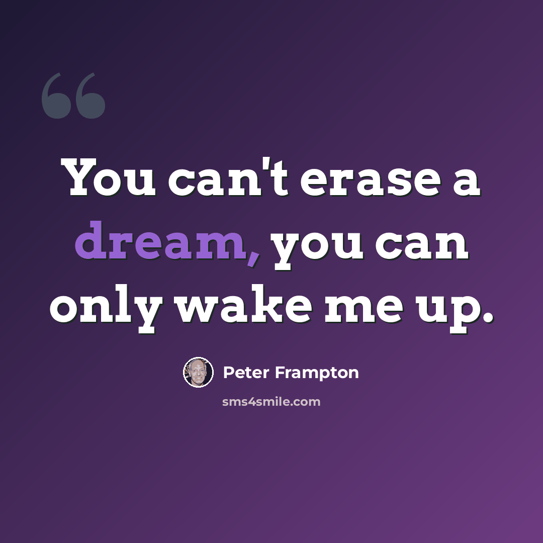 “You can't erase a dream, you can only wake me up.” quote by Peter Frampton