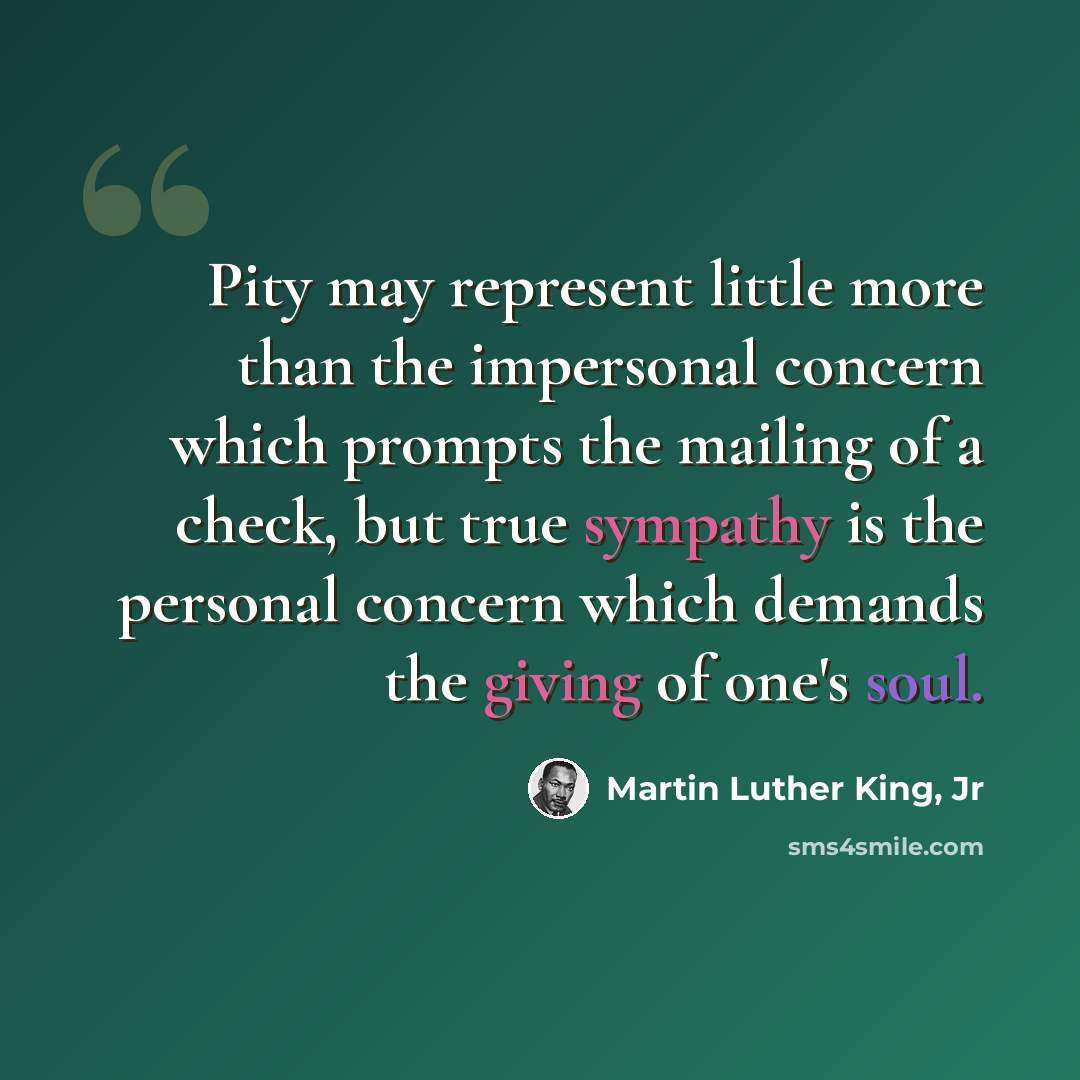 “Pity may represent little more than the impersonal concern which prompts the mailing of a check, but true sympathy is the personal concern which demands the giving of one's soul.” quote by Martin Luther King, Jr