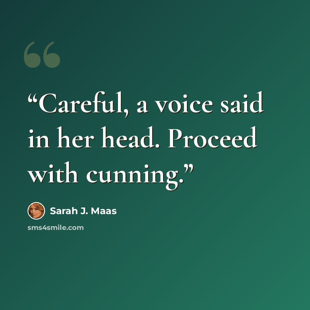 “Careful, a voice said in her head. Proceed with cunning.” quote by Sarah J. Maas