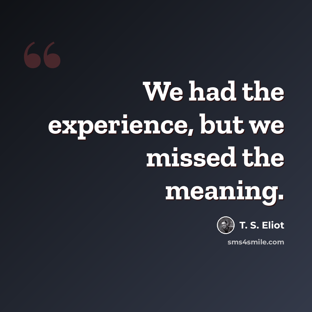 “We had the experience, but we missed the meaning.” quote by T. S. Eliot