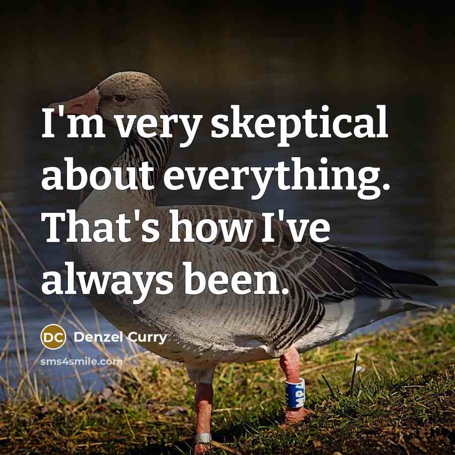 “I'm very skeptical about everything. That's how I've always been.” quote by Denzel Curry