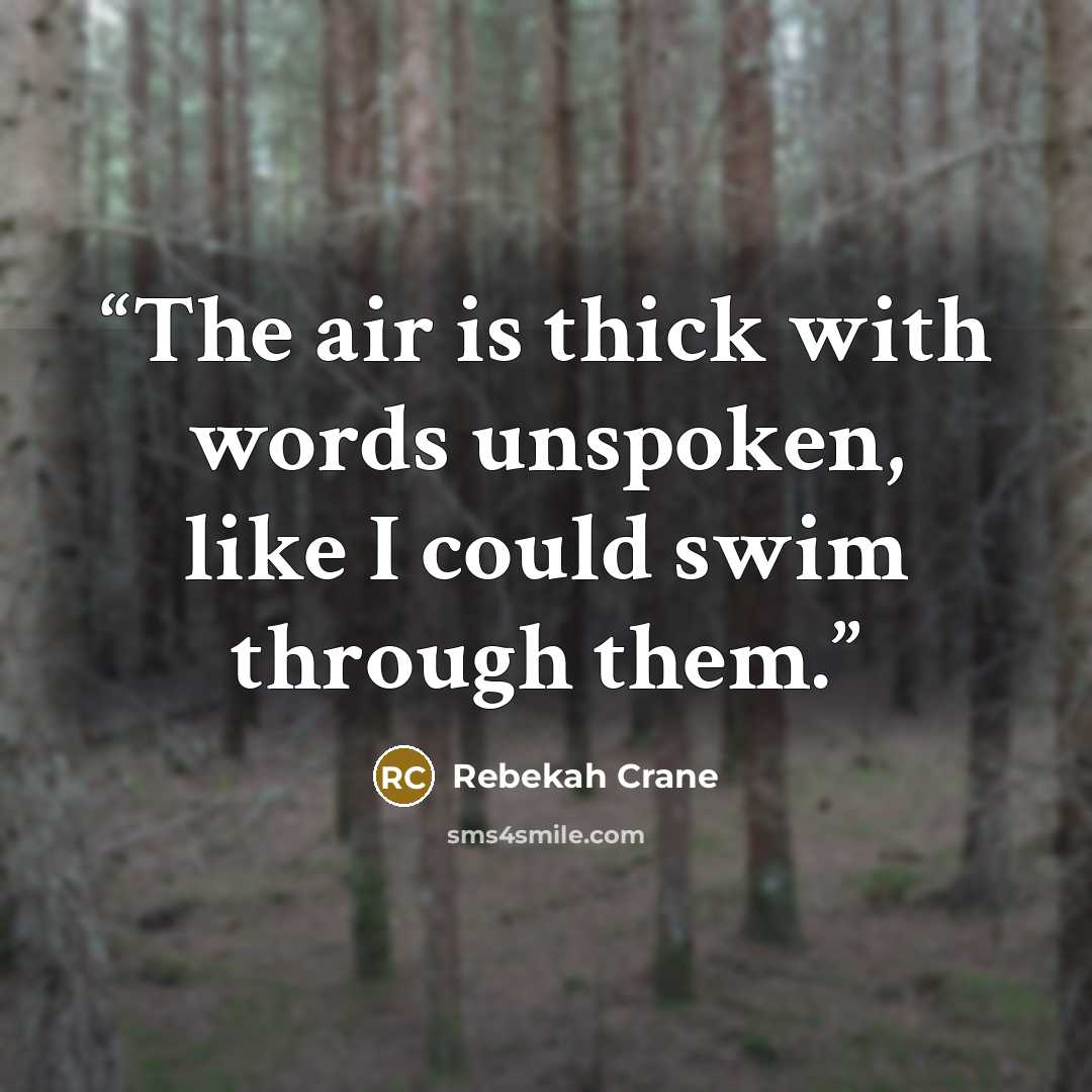 “The air is thick with words unspoken, like I could swim through them.” quote by Rebekah Crane