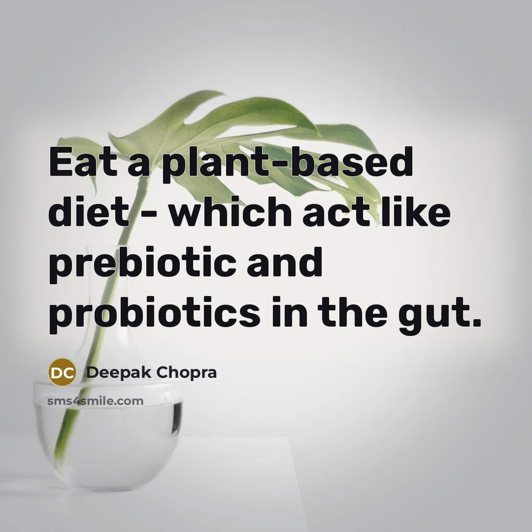 “Eat a plant-based diet - which act like prebiotic and probiotics in the gut.” quote by Deepak Chopra