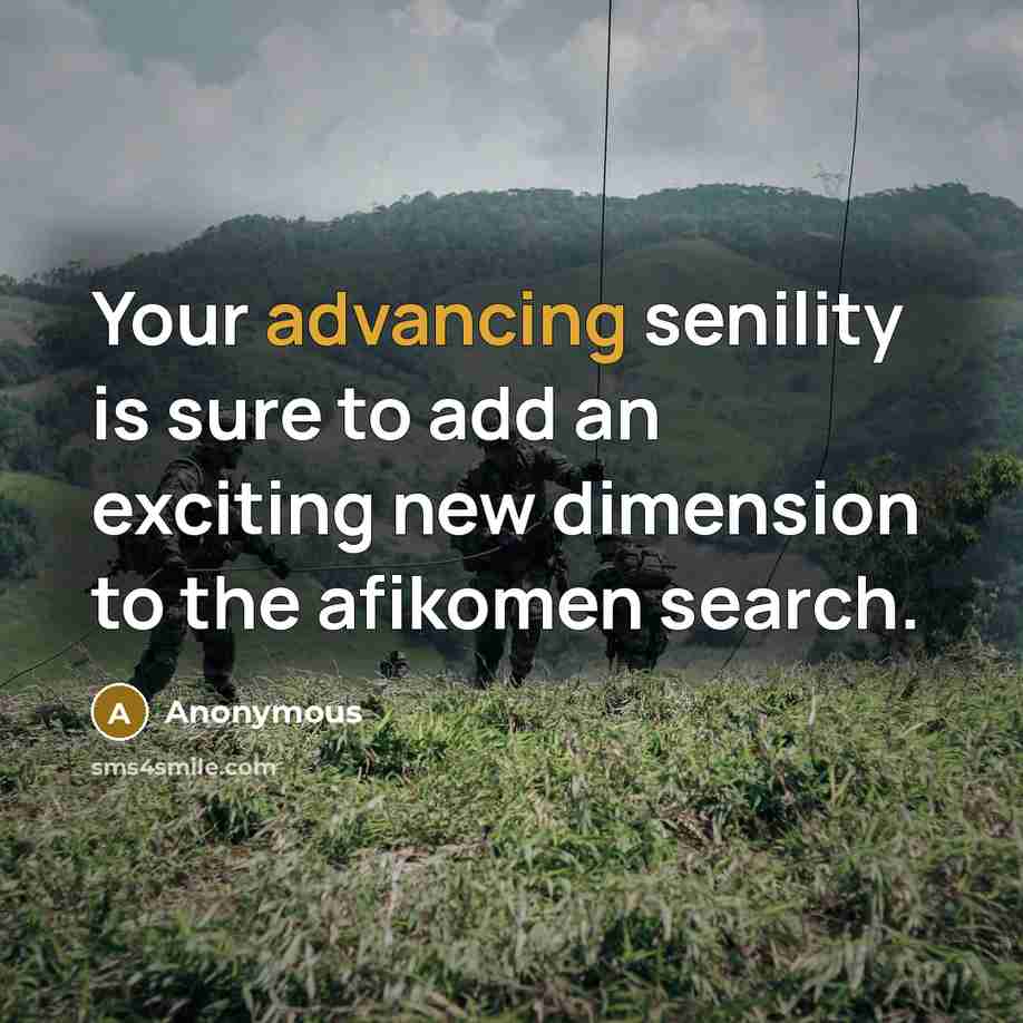“Your advancing senility is sure to add an exciting new dimension to the afikomen search.” quote by Anonymous