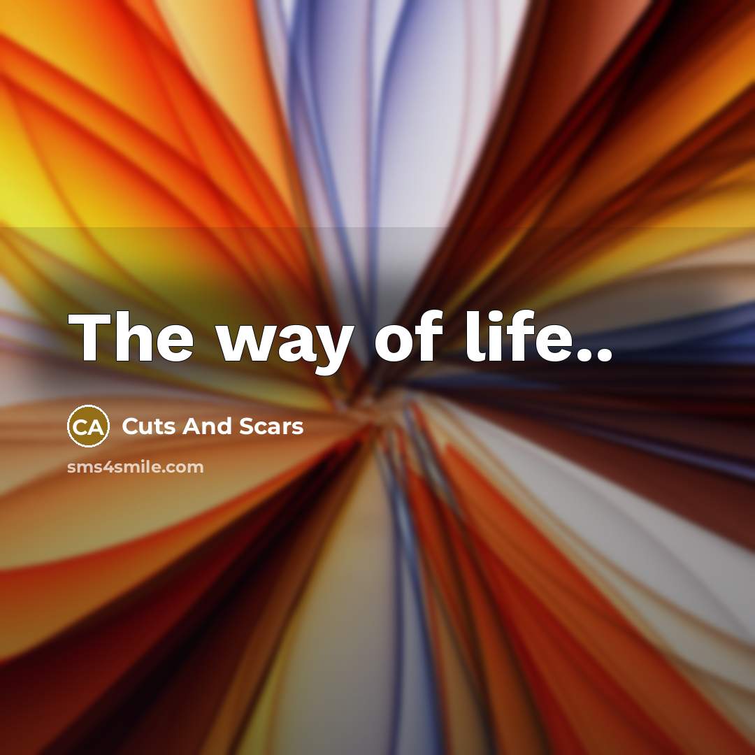“The way of life..” quote by Cuts And Scars