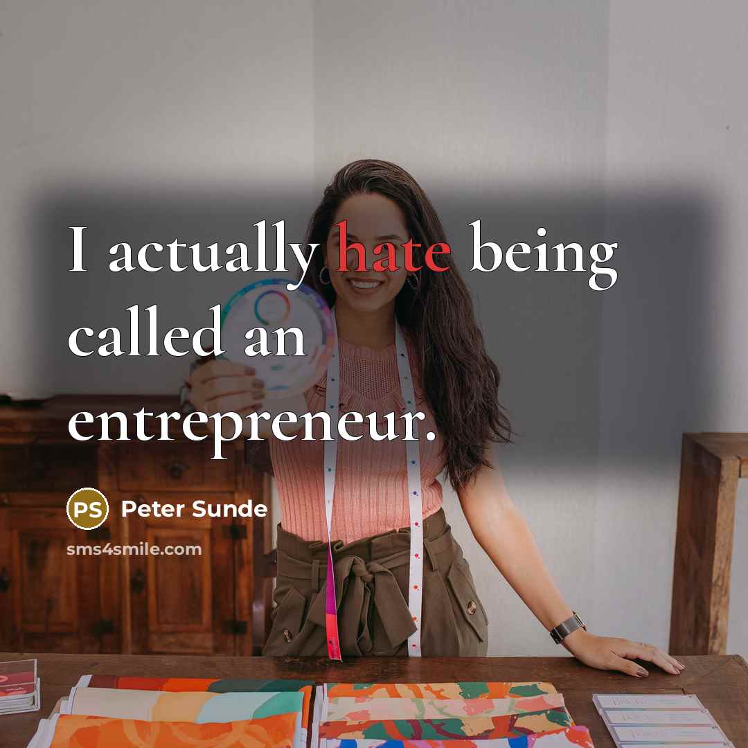 “I actually hate being called an entrepreneur.” quote by Peter Sunde
