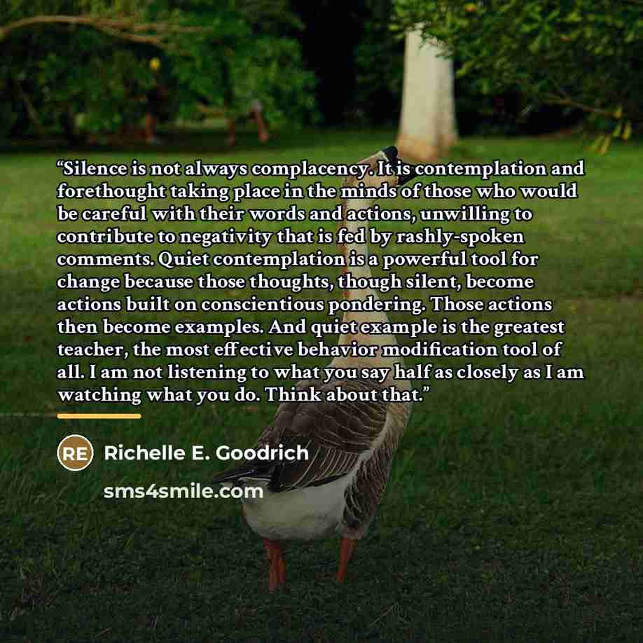 “Silence is not always complacency. It is contemplation and forethought taking place in the minds of those who would be careful with their words and actions, unwilling to contribute to negativity that is fed by rashly-spoken comments. Quiet contemplation is a powerful tool for change because those…” quote by Richelle E. Goodrich