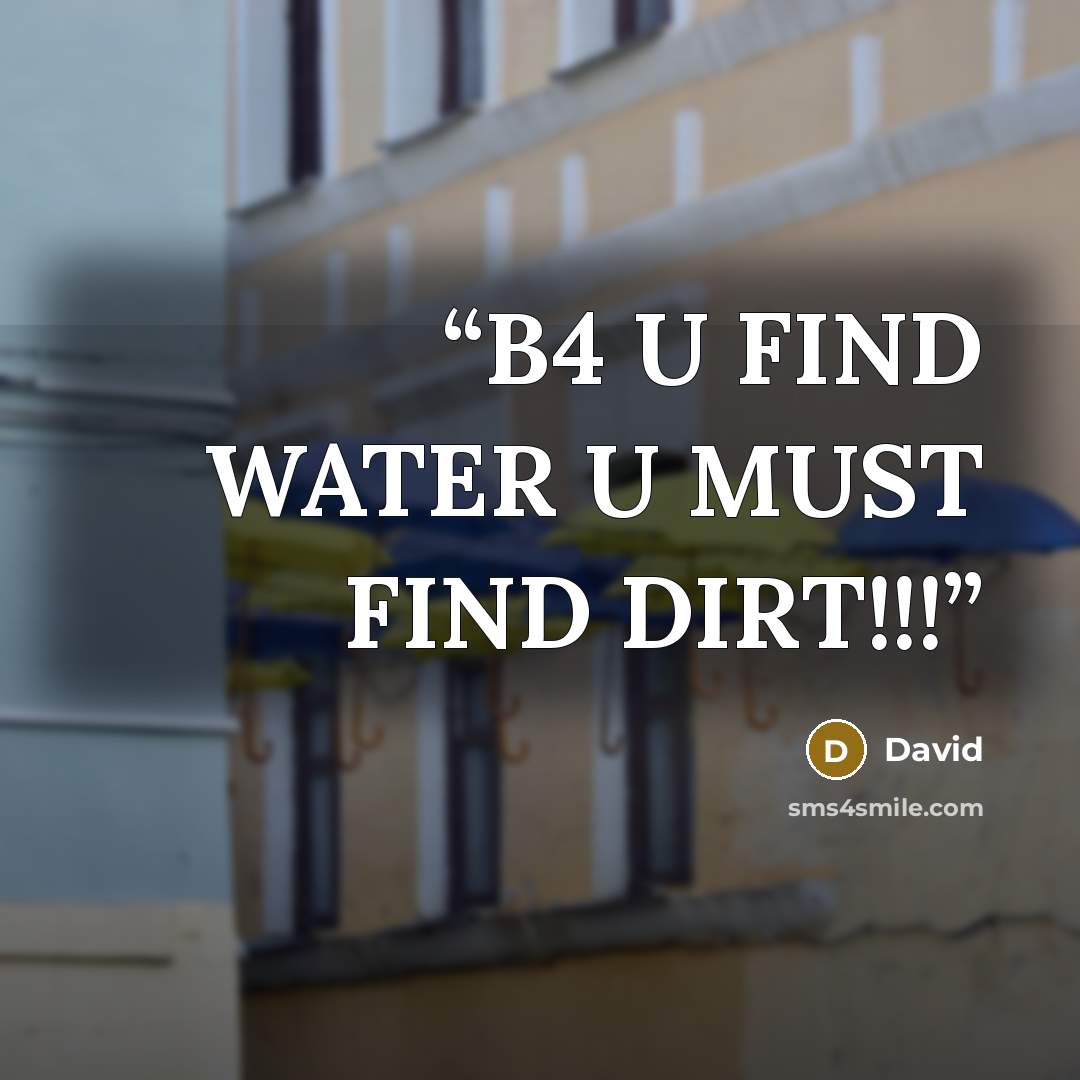 “B4 U FIND WATER U MUST FIND DIRT!!!” quote by David