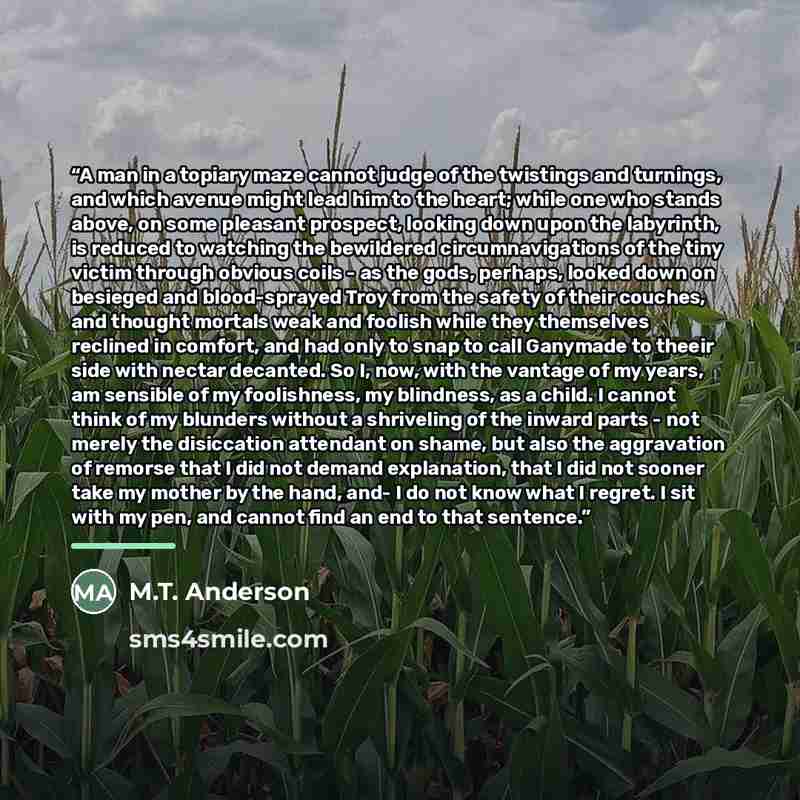 “A man in a topiary maze cannot judge of the twistings and turnings, and which avenue might lead him to the heart; while one who stands above, on some pleasant prospect, looking down upon the labyrinth, is reduced to watching the bewildered circumnavigations of the tiny victim through obvious coils…” quote by M.T. Anderson
