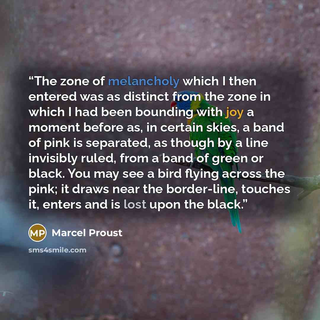 “The zone of melancholy which I then entered was as distinct from the zone in which I had been bounding with joy a moment before as, in certain skies, a band of pink is separated, as though by a line invisibly ruled, from a band of green or black. You may see a bird flying across the pink; it draws…” quote by Marcel Proust
