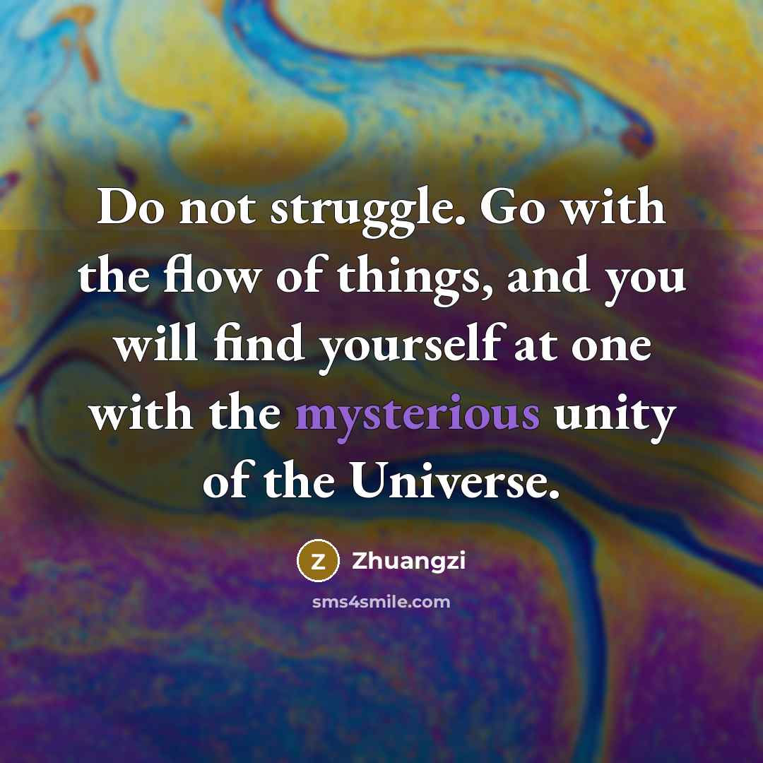 “Do not struggle. Go with the flow of things, and you will find yourself at one with the mysterious unity of the Universe.” quote by Zhuangzi