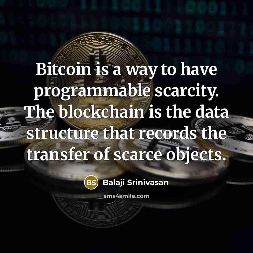 “Bitcoin is a way to have programmable scarcity. The blockchain is the data structure that records the transfer of scarce objects.” quote by Balaji Srinivasan