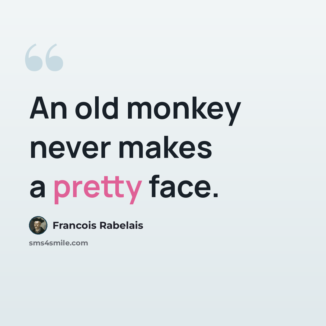 “An old monkey never makes a pretty face.” quote by Francois Rabelais