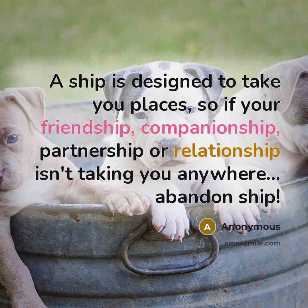 “A ship is designed to take you places, so if your friendship, companionship, partnership or relationship isn't taking you anywhere... abandon ship!” quote by Anonymous