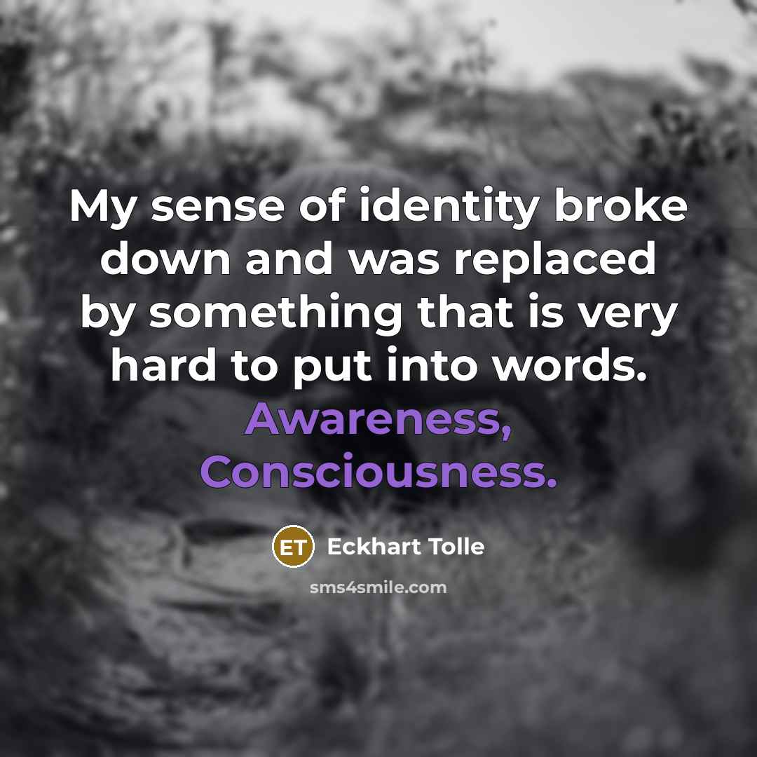 “My sense of identity broke down and was replaced by something that is very hard to put into words. Awareness, Consciousness.” quote by Eckhart Tolle