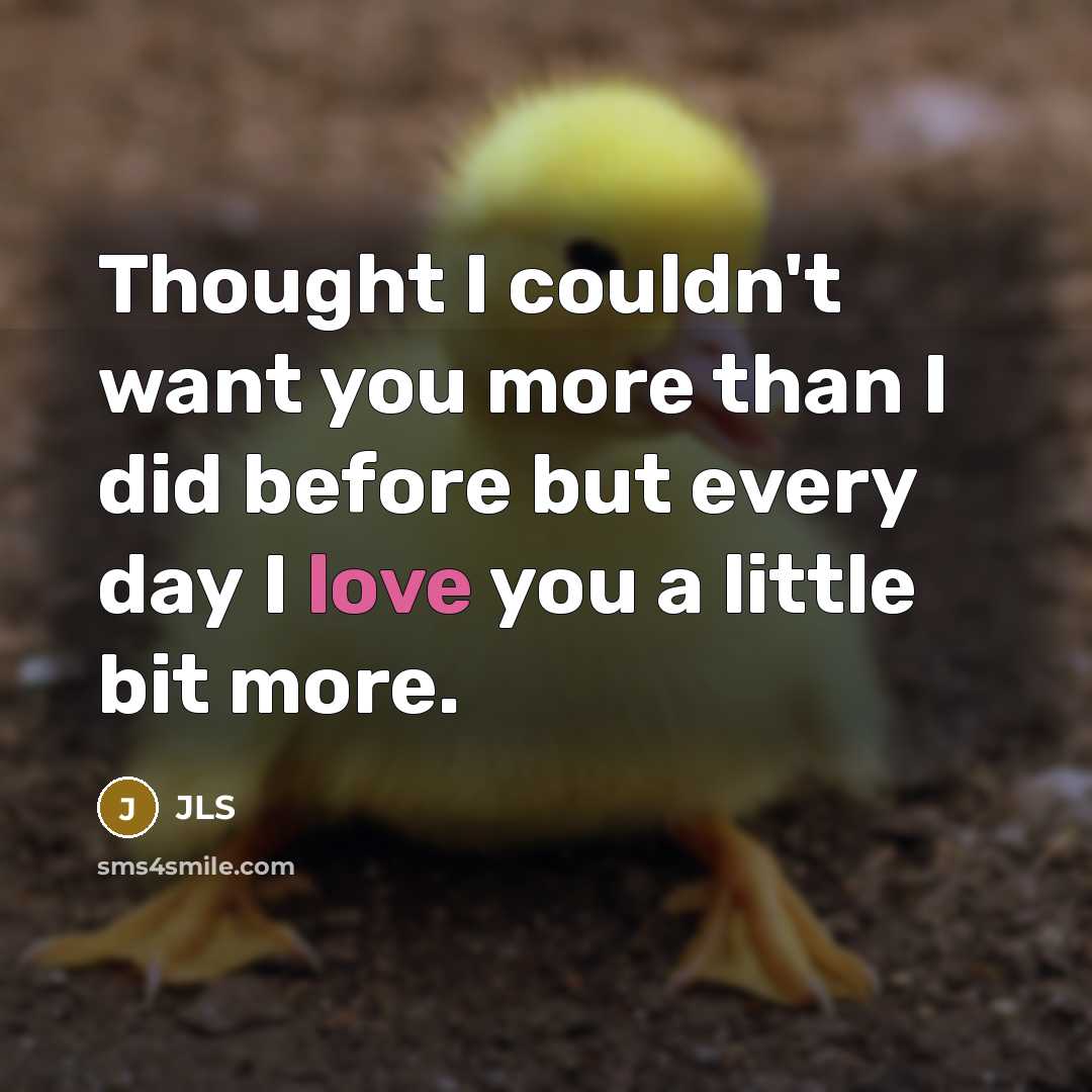 “Thought I couldn't want you more than I did before but every day I love you a little bit more.” quote by JLS