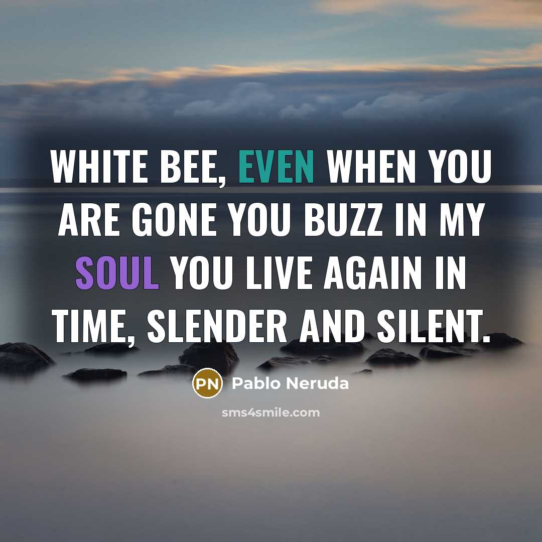 “White bee, even when you are gone you buzz in my soul You live again in time, slender and silent.” quote by Pablo Neruda