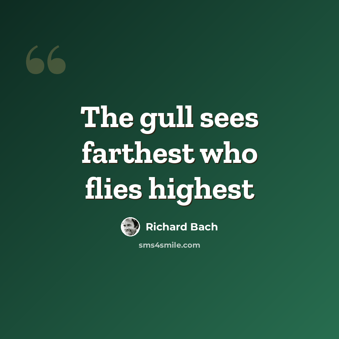 “The gull sees farthest who flies highest” quote by Richard Bach