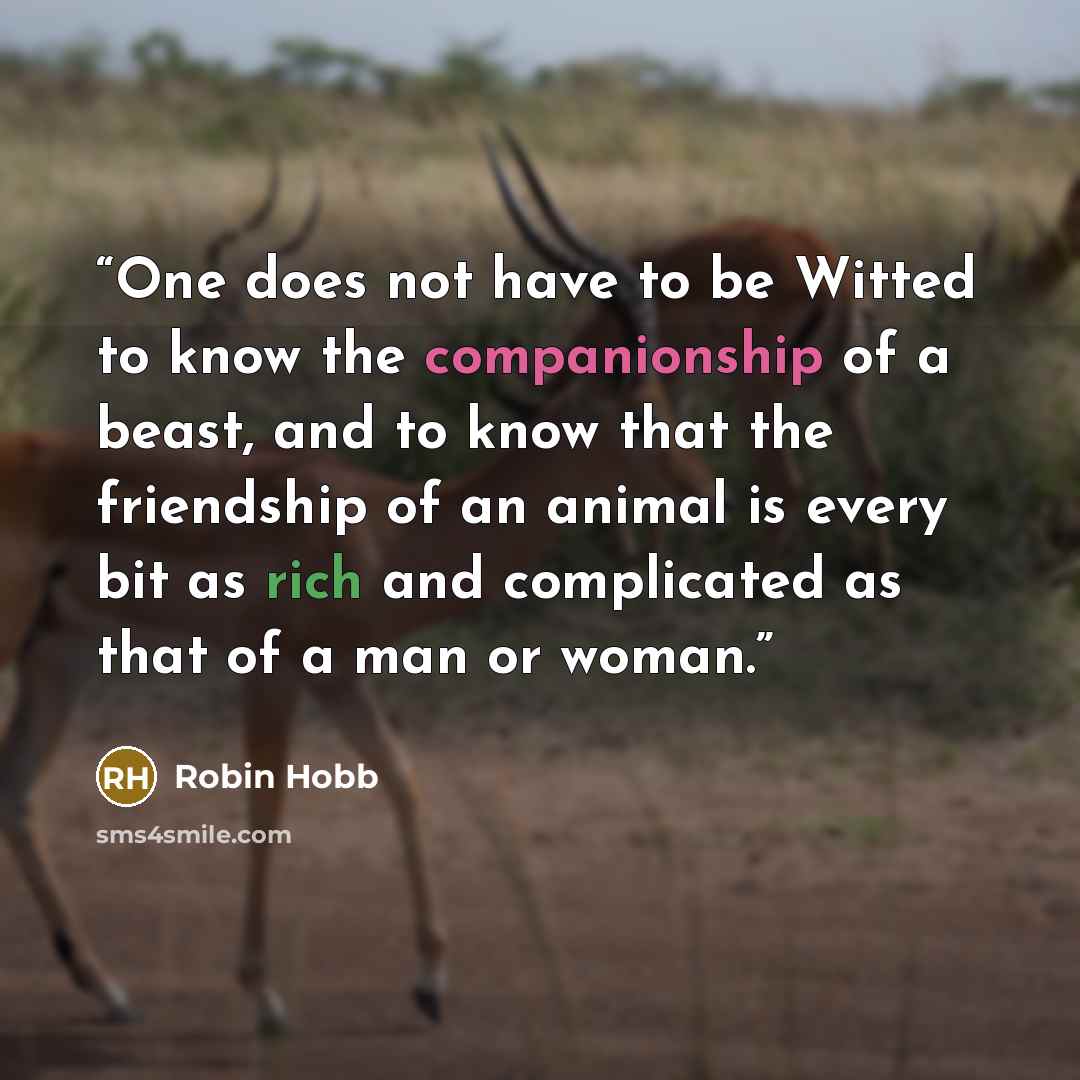 “One does not have to be Witted to know the companionship of a beast, and to know that the friendship of an animal is every bit as rich and complicated as that of a man or woman.” quote by Robin Hobb