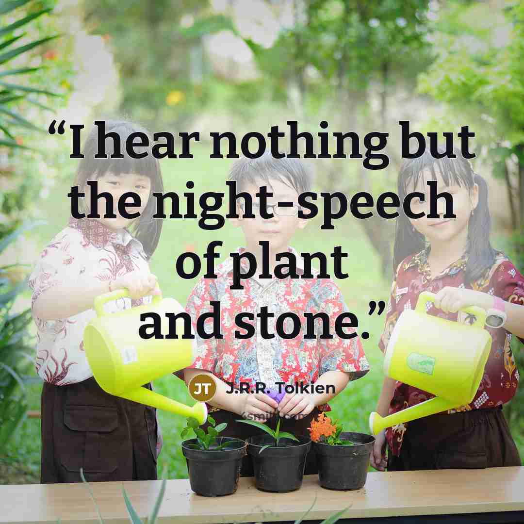 “I hear nothing but the night-speech of plant and stone.” quote by J.R.R. Tolkien