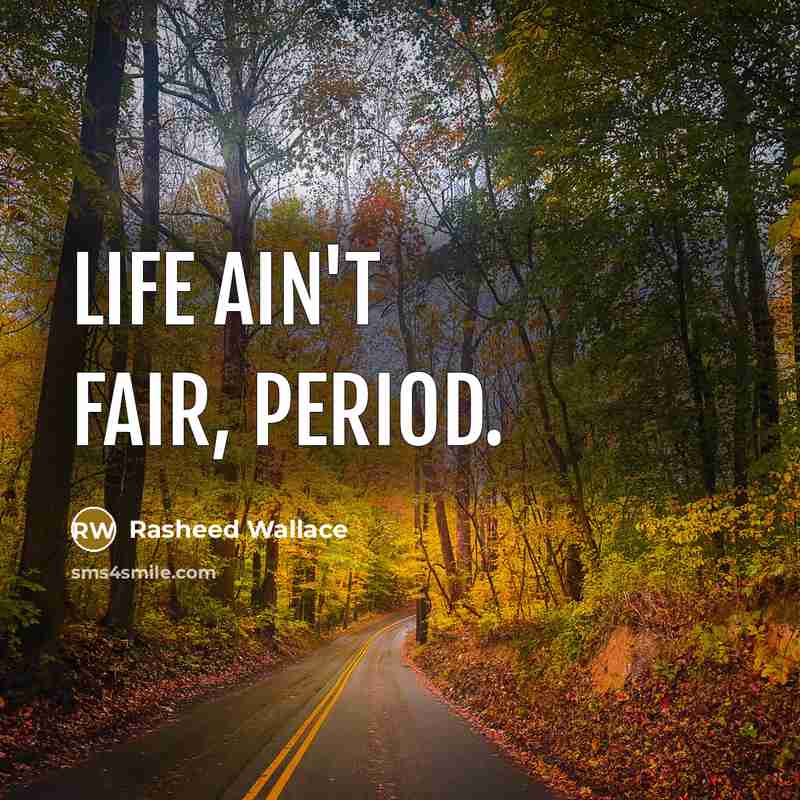 “Life ain't fair, period.” quote by Rasheed Wallace