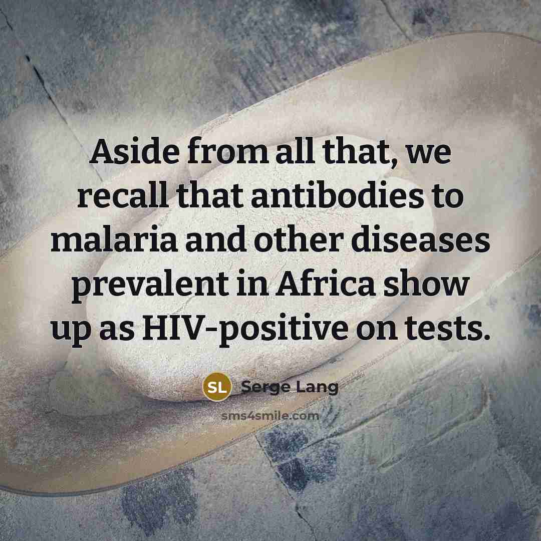“Aside from all that, we recall that antibodies to malaria and other diseases prevalent in Africa show up as HIV-positive on tests.” quote by Serge Lang
