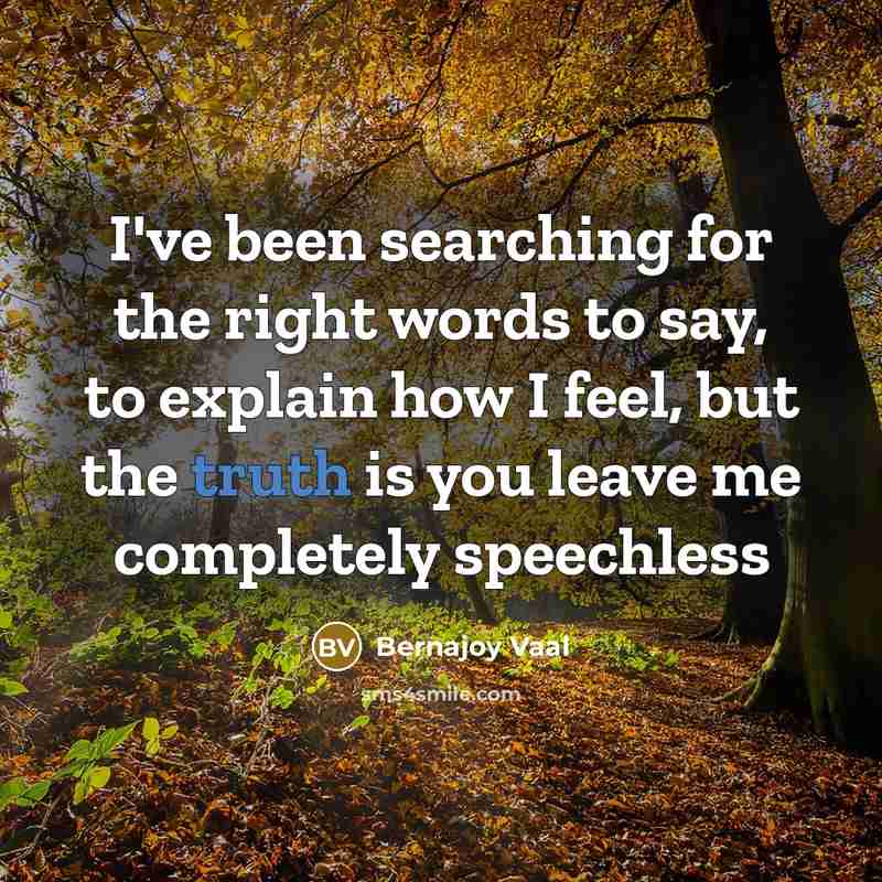 “I've been searching for the right words to say, to explain how I feel, but the truth is you leave me completely speechless” quote by Bernajoy Vaal