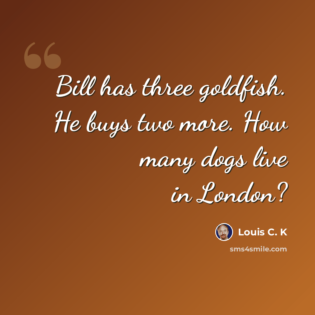 “Bill has three goldfish. He buys two more. How many dogs live in London?” quote by Louis C. K