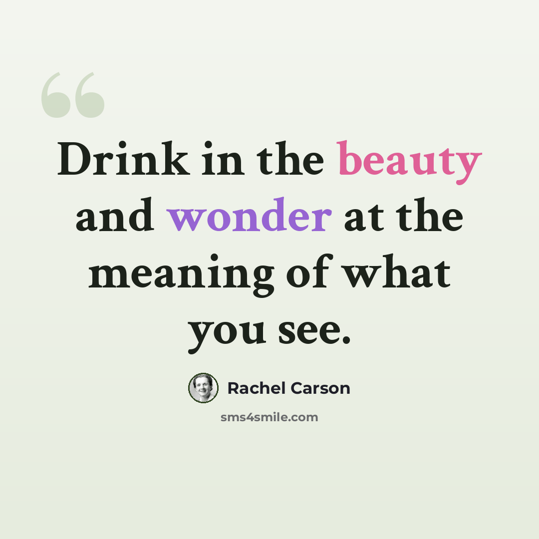 “Drink in the beauty and wonder at the meaning of what you see.” quote by Rachel Carson