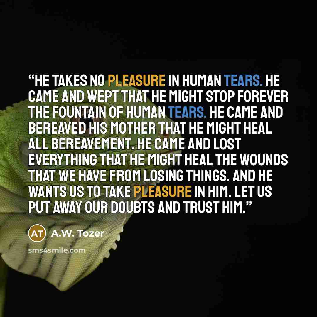 “He takes no pleasure in human tears. He came and wept that He might stop forever the fountain of human tears. He came and bereaved His mother that He might heal all bereavement. He came and lost everything that He might heal the wounds that we have from losing things. And He wants us to take…” quote by A.W. Tozer