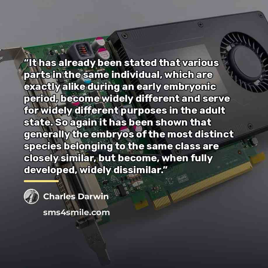 “It has already been stated that various parts in the same individual, which are exactly alike during an early embryonic period, become widely different and serve for widely different purposes in the adult state. So again it has been shown that generally the embryos of the most distinct species…” quote by Charles Darwin