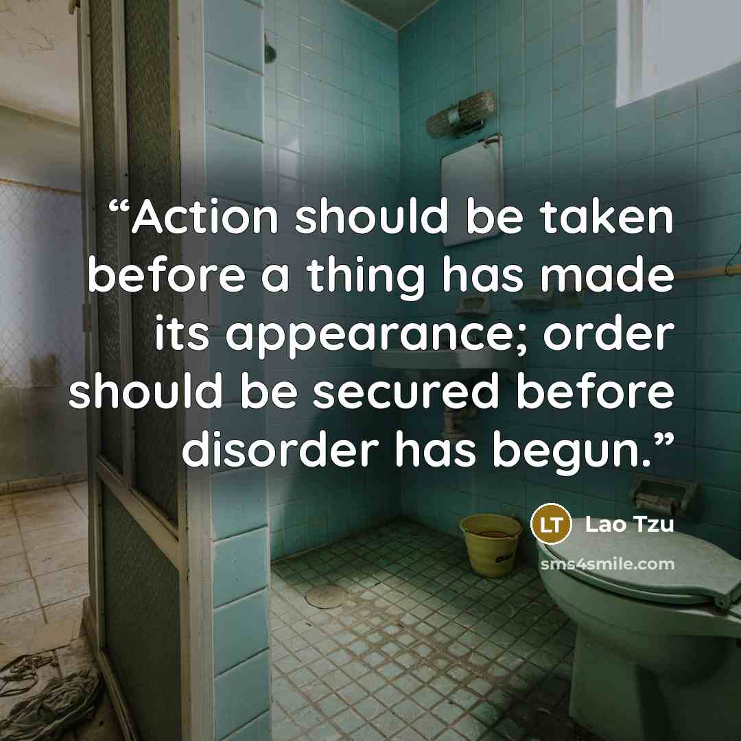 “Action should be taken before a thing has made its appearance; order should be secured before disorder has begun.” quote by Lao Tzu