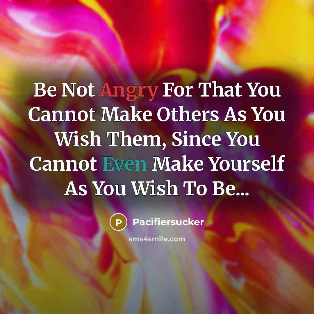 “Be Not Angry For That You Cannot Make Others As You Wish Them, Since You Cannot Even Make Yourself As You Wish To Be...” quote by Pacifiersucker